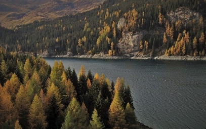 Image 34