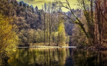 Image 33