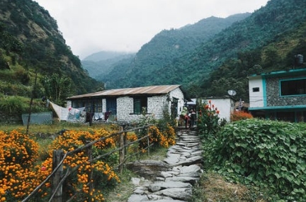 Image 13