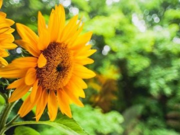 邵阳公司企业律师咨询代办融资租赁公司注册要什么资料