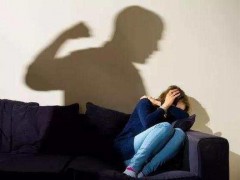 禁止家庭暴力的协议怎么写