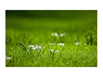 律师咨询环境污染损害赔偿的诉讼时效期间