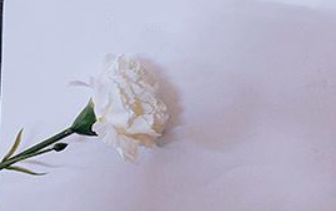 03 (2)